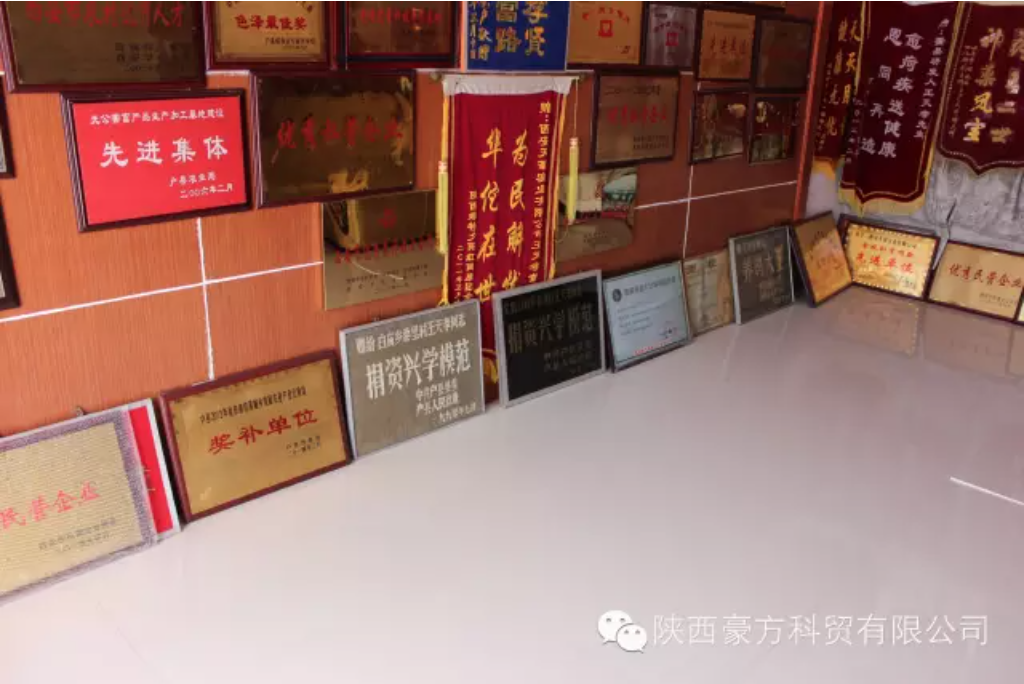 1741833627995941.png 6.png