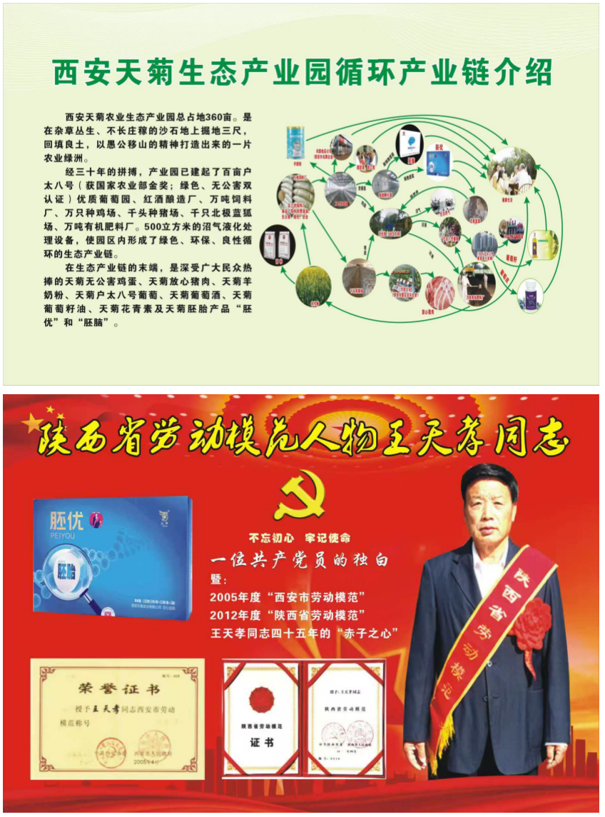 1765779497509498.png 3.png